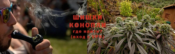 стаф Рославль