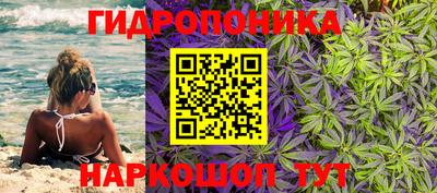 тгк Краснознаменск