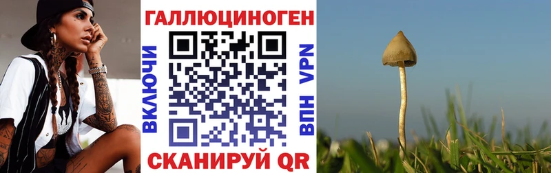 купить наркотик  Кудымкар  Галлюциногенные грибы прущие грибы 