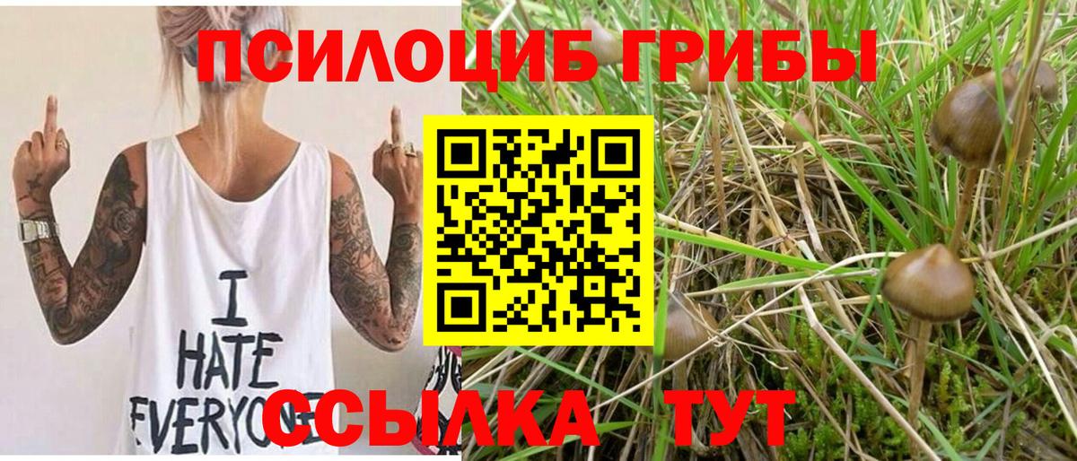 Кудымкар  Псилоцибиновые грибы Magic Shrooms  дарнет шоп  Галлюциногенные грибы MAGIC MUSHROOMS  Вход с VPN 