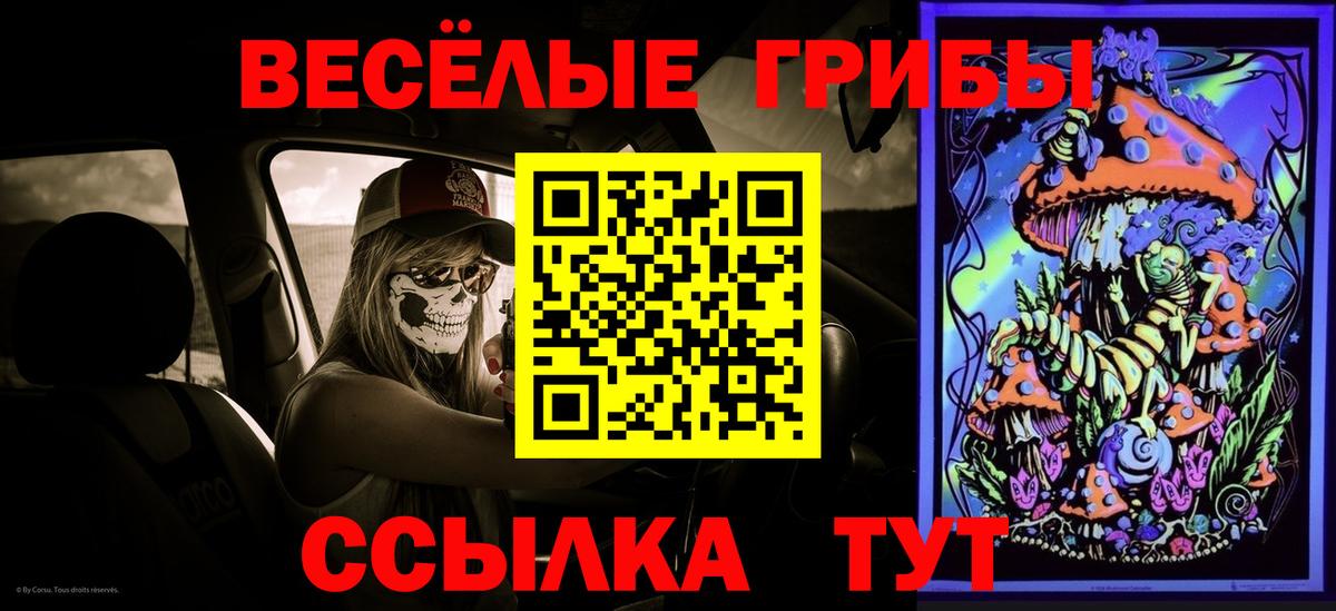 Галлюциногенные грибы Magic Shrooms Кудымкар